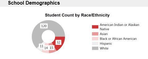 School demographics